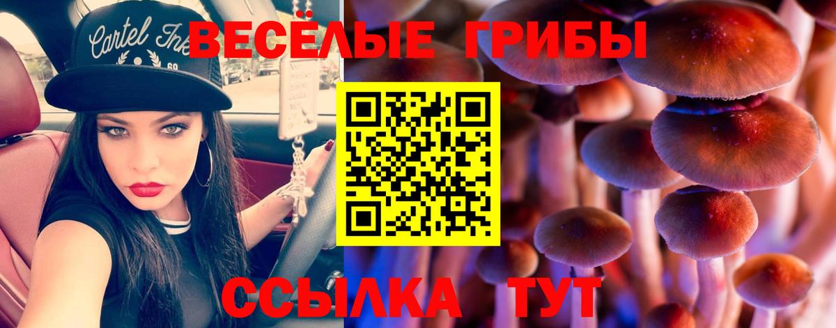 Галлюциногенные грибы мухоморы Малоярославец